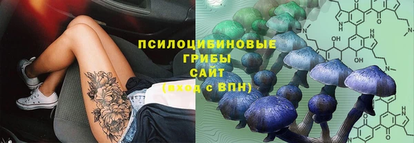 СК Алзамай