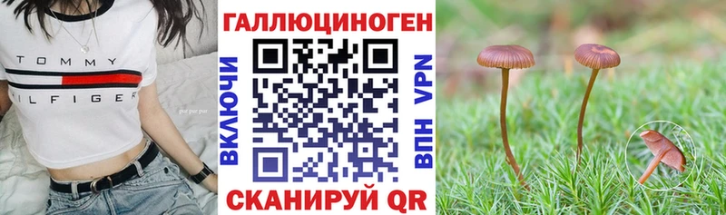 Галлюциногенные грибы Psilocybe  где купить   мориарти как зайти  Раменское 